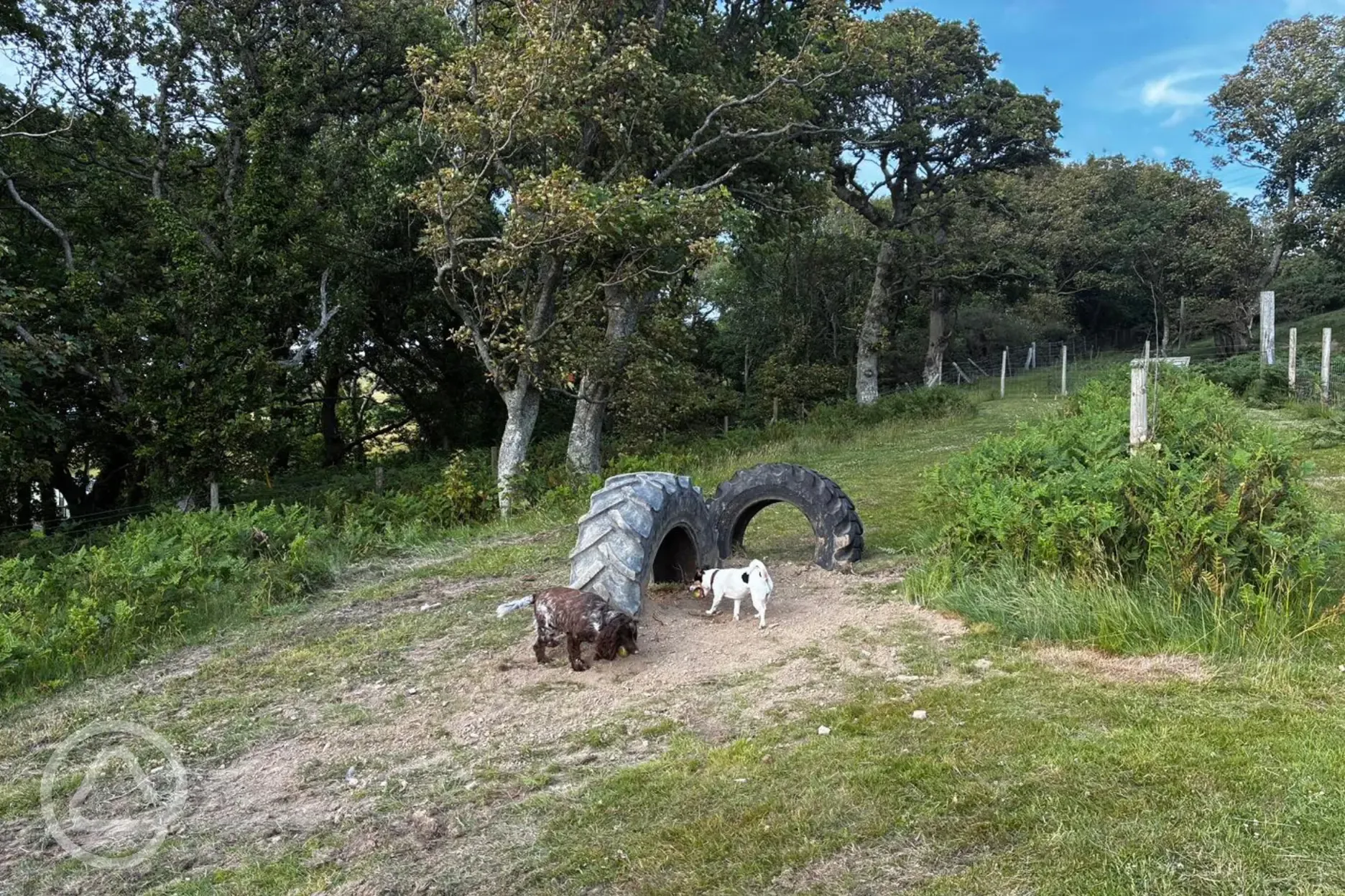 Dog exercise area at Morfa Bychan 