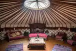 Woodland yurt