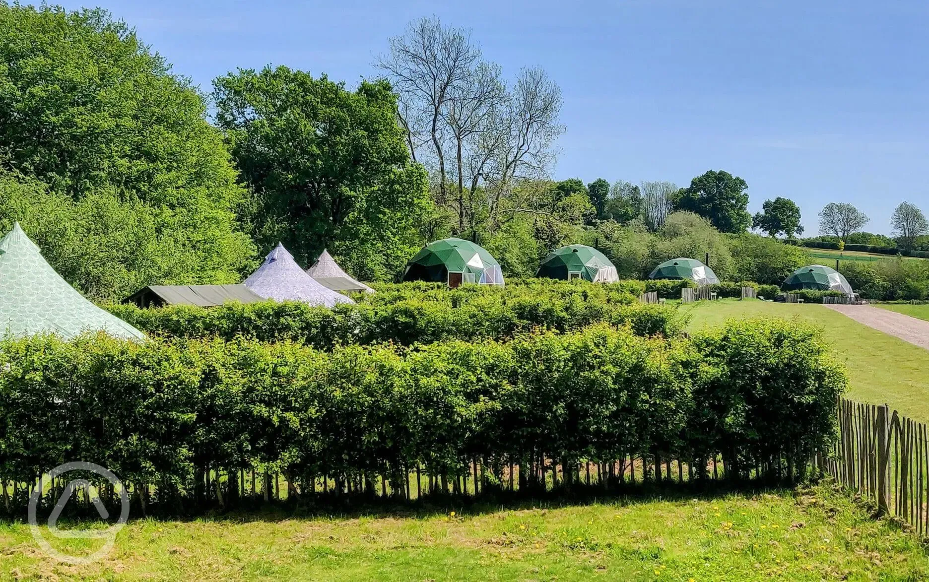 Grassy Field bell tents and geodomes