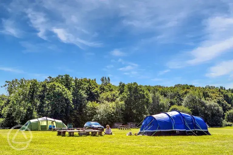 Non electric grass pitches