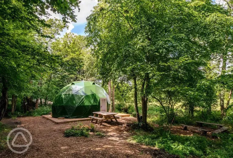 Cherry Tree geodome