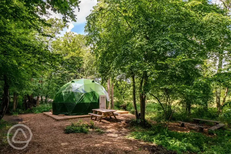 Cherry Tree geodome