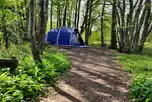 Frank's spot non electric grass pitches