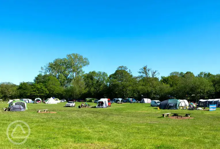 Non electric grass pitches