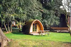 Camping pods surrounded by trees