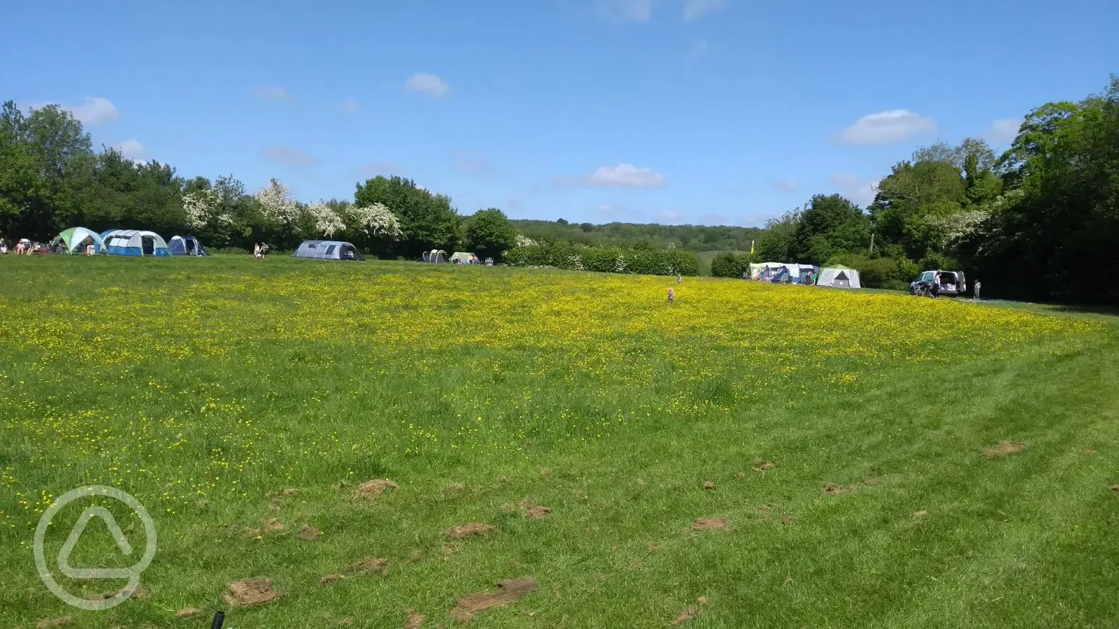 Non electric Brocks' paddock pitches