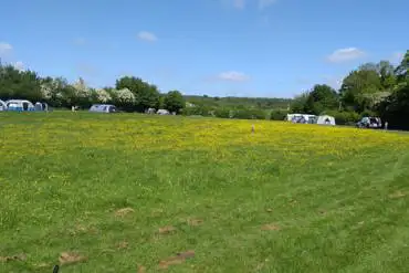 Non electric Brocks' paddock pitches