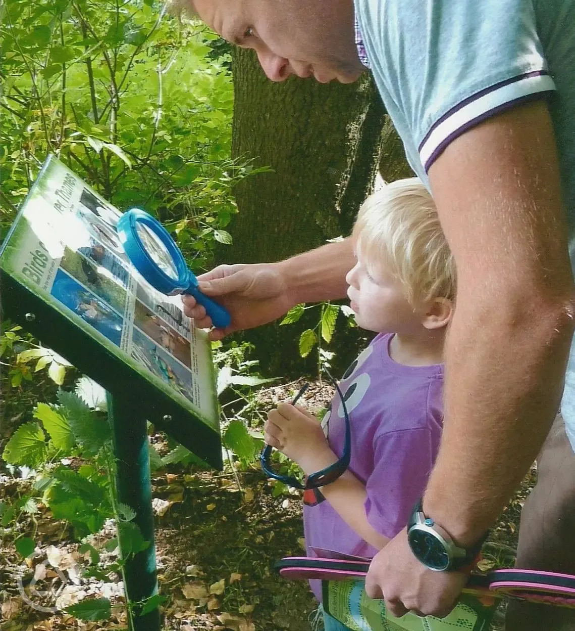 Self guided nature trail at Hurley Riverside Park