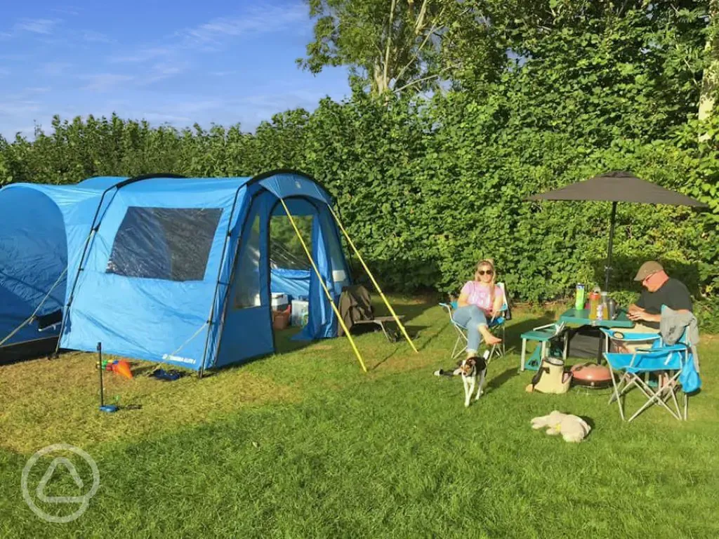 Dog friendly electric grass pitches at Hurley Riverside Park