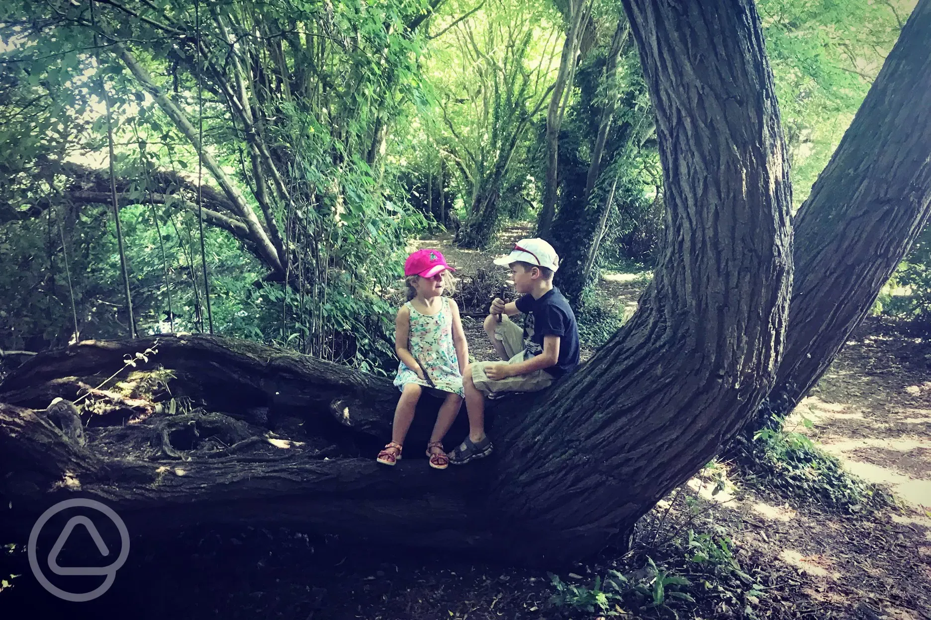 Self guided nature trail at Hurley Riverside Park