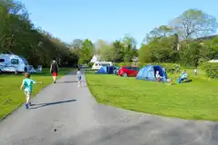 Tents and caravans on electric grass pitches at The Green Caravan Park