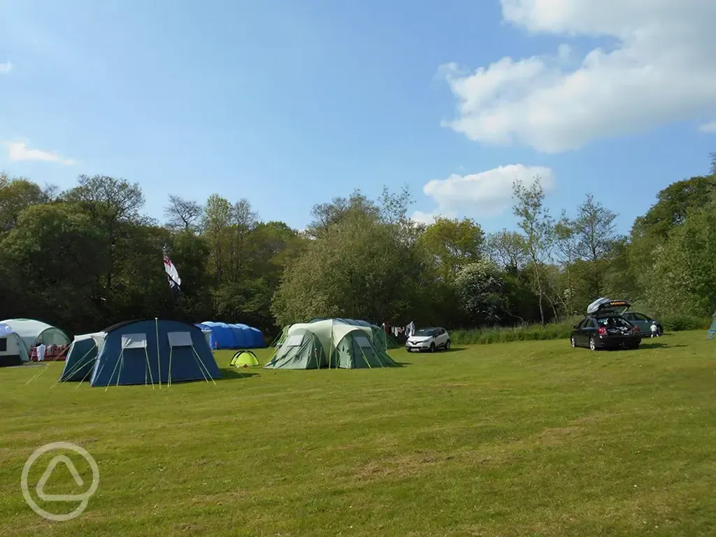 Grass camping pitches