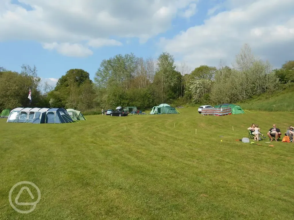 Grass pitches for tents