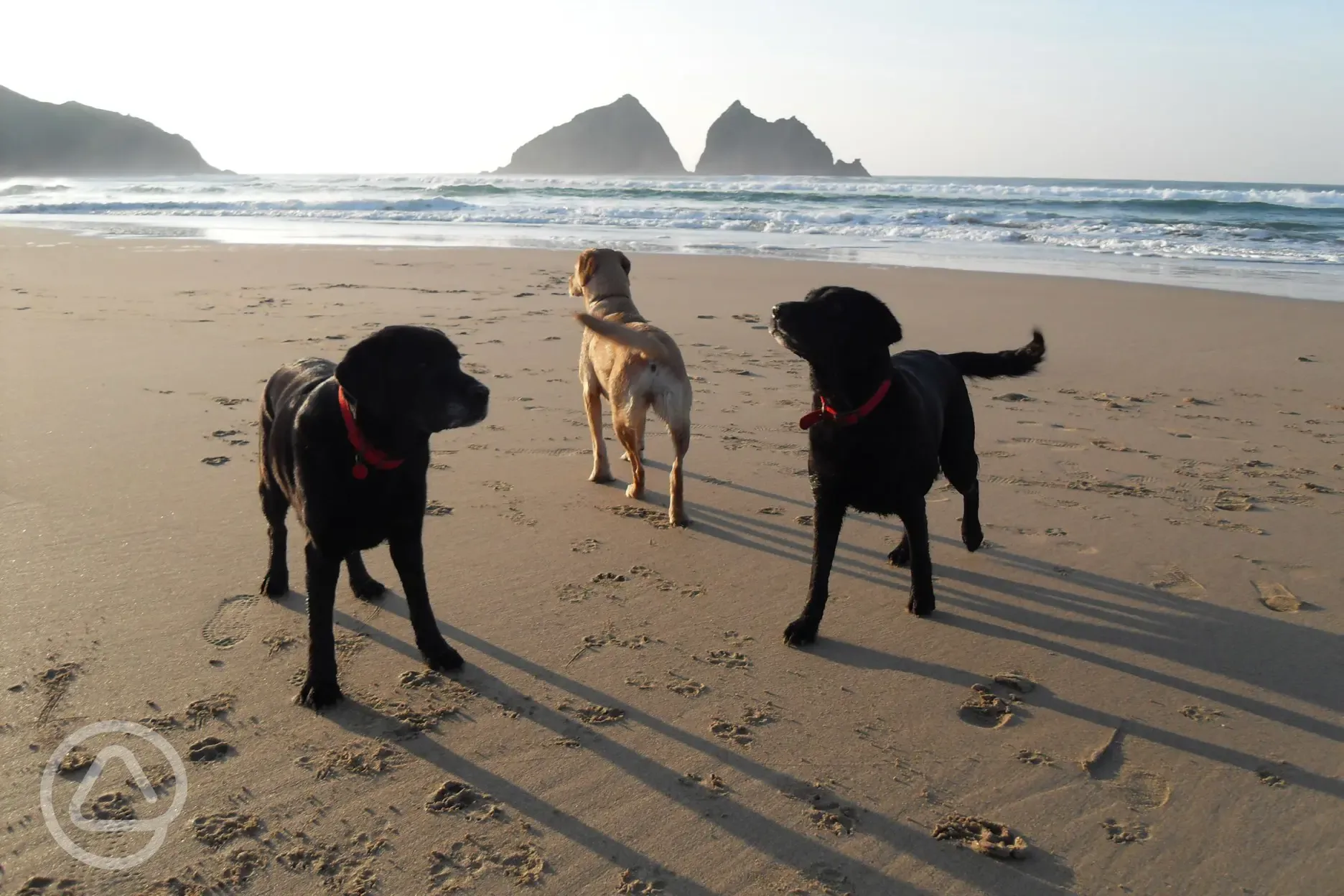 Holywell Bay Beach