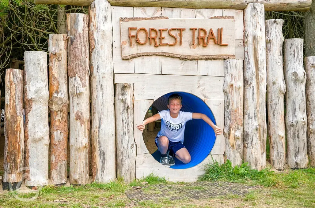 Forest trail with climbing frames and balancing beams