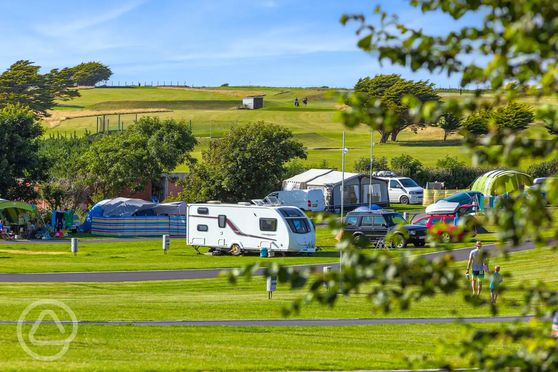 Grass pitches 