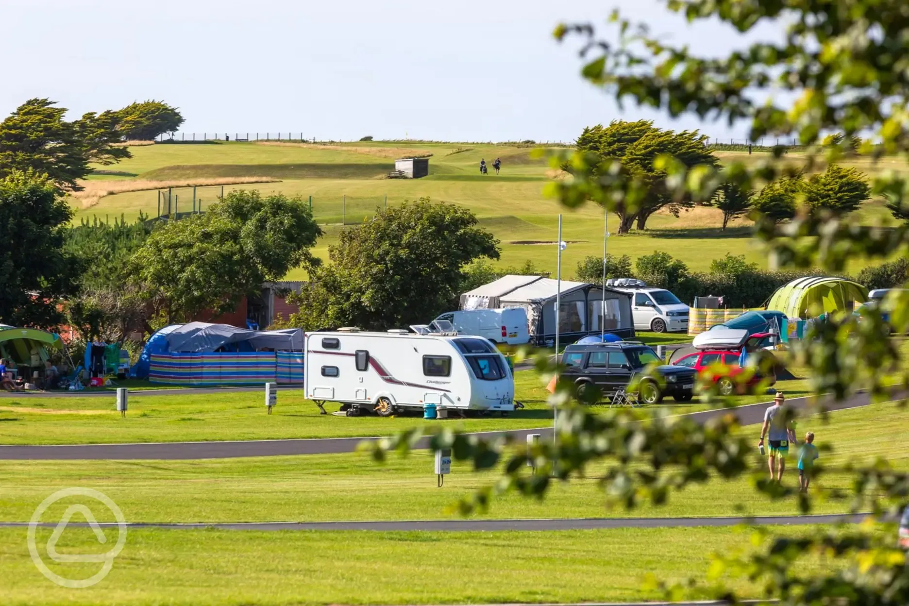 Grass pitches 