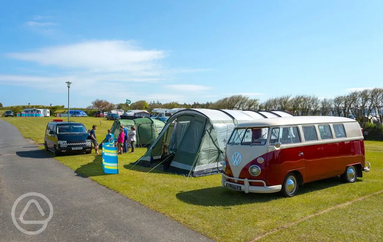 Grass pitches