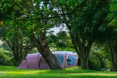 Large tent on a grass pitches