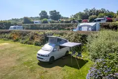 Large electric grass pitches with flower and plant borders