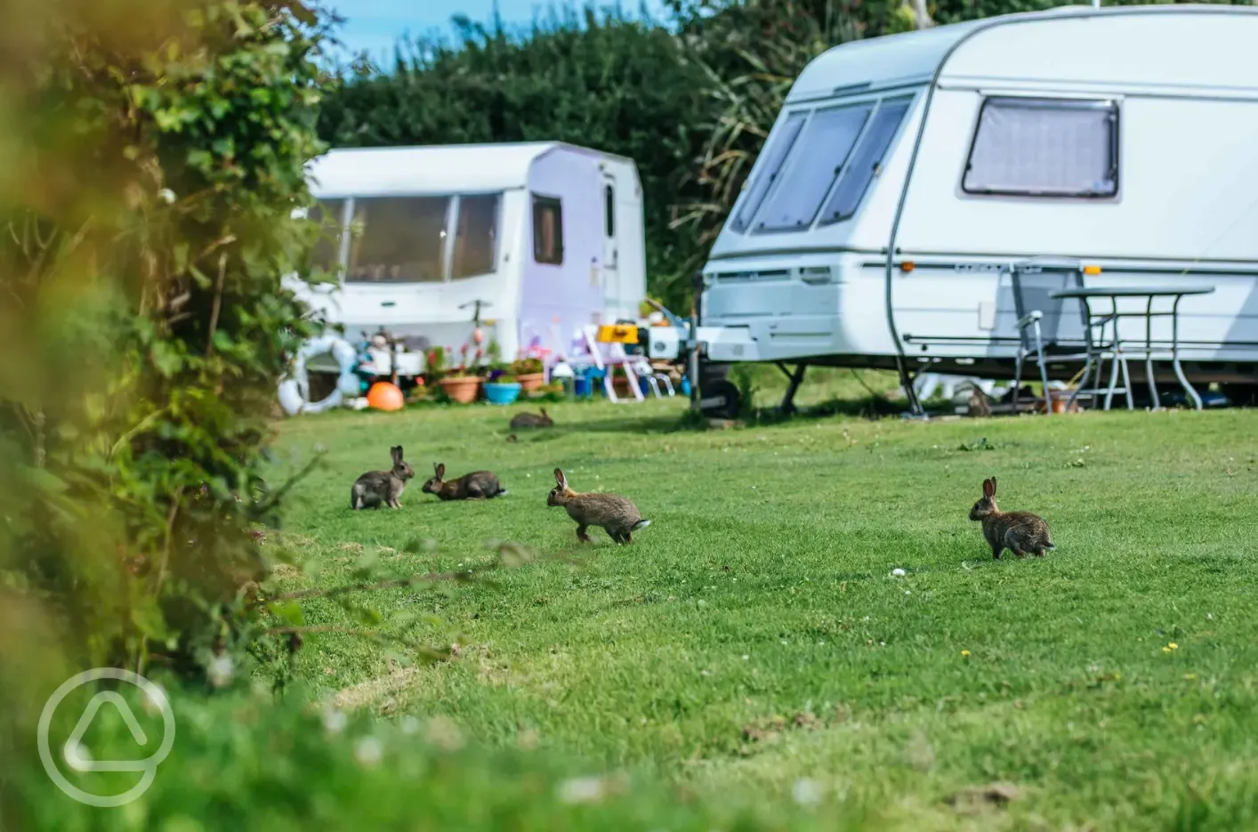 Grass pitches for tents and tourers