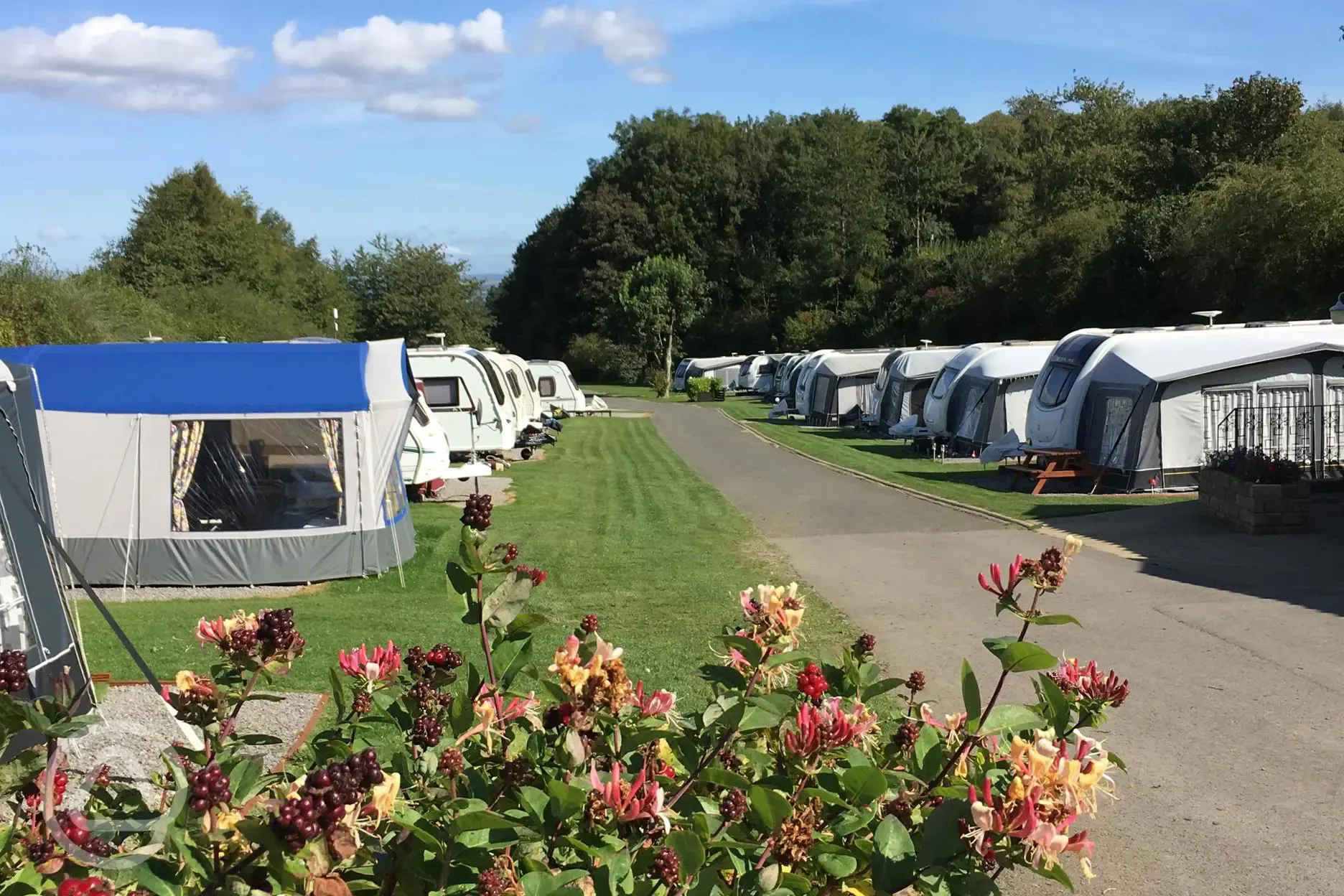 Caravans at Golden Square