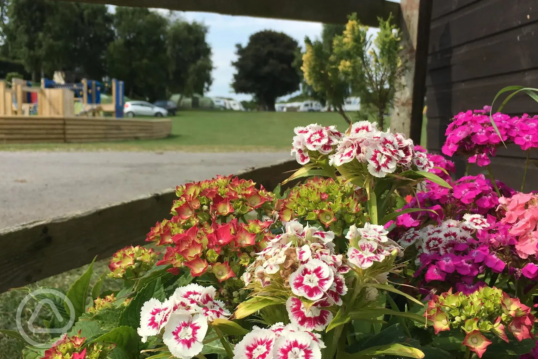 Flowers at Golden Square