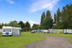 Electric grass pitches Electric grass pitches