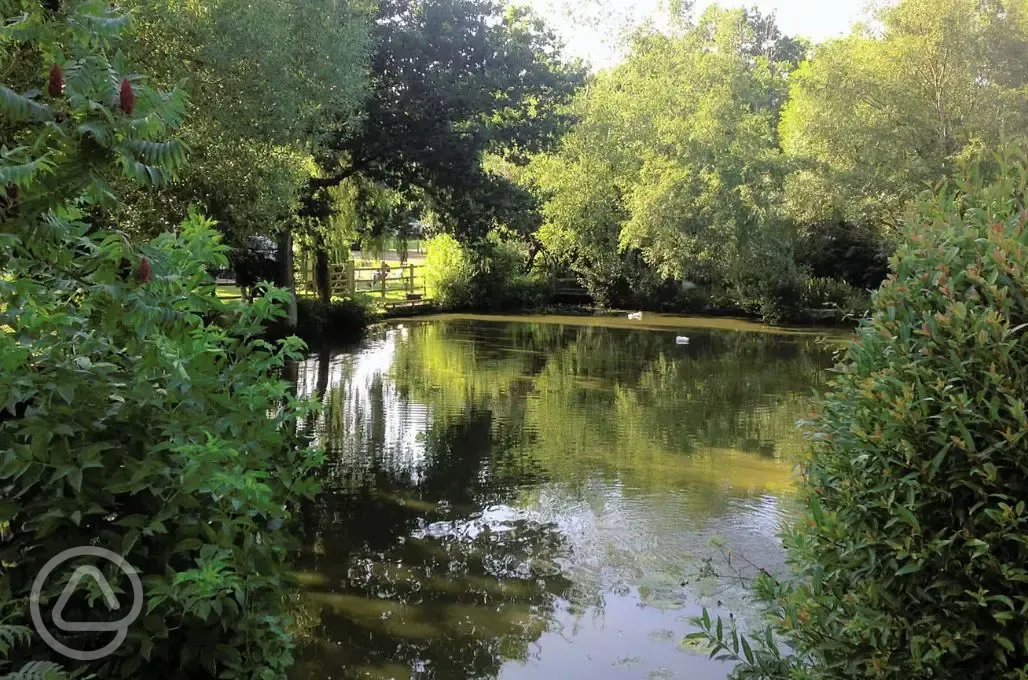 Fishing lake filled with carp, bream and tench