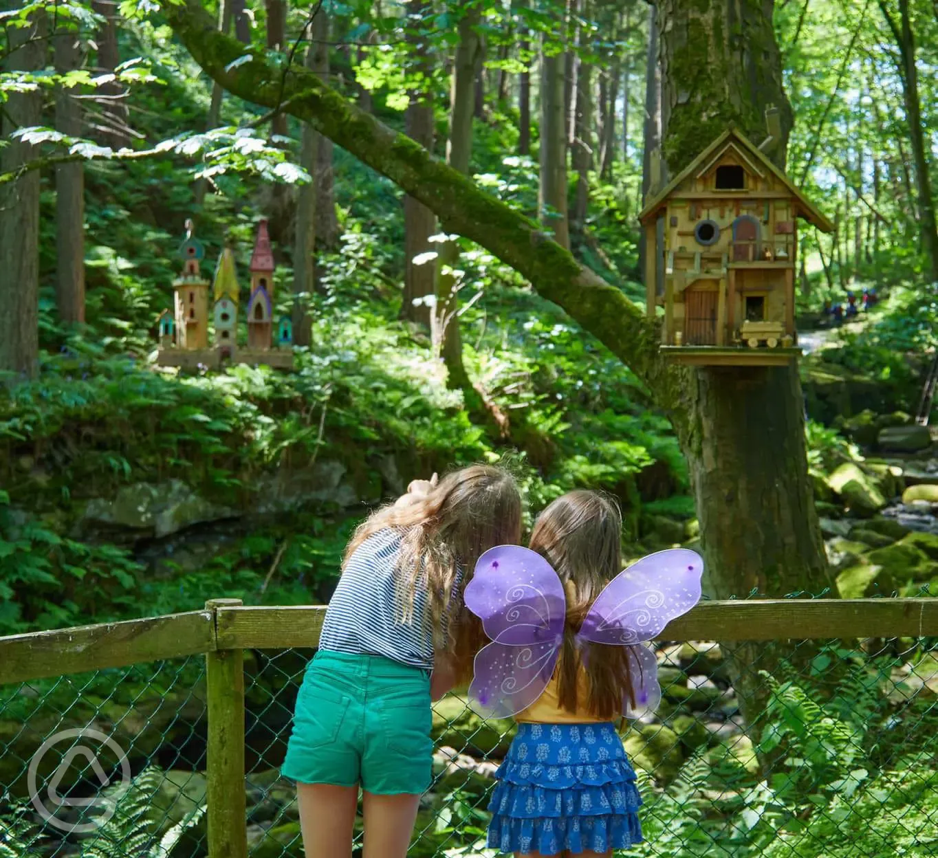 Fairy trail for children