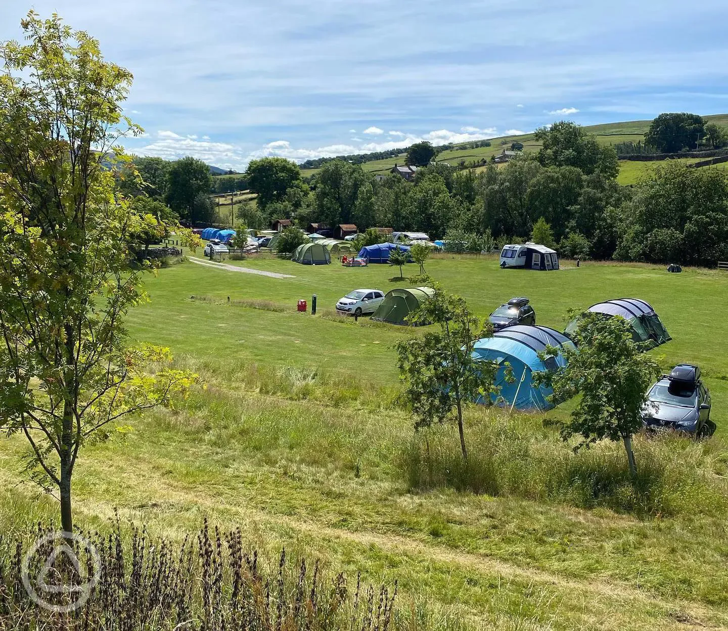 Grass pitches