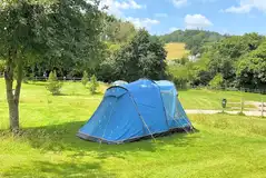 Medium 8m x 8m grass pitches with 10 amp electric hook ups