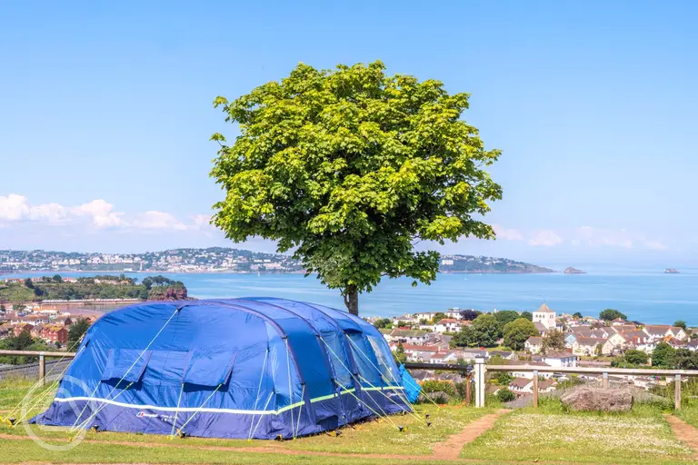 Grass pitches with 16 amp hook ups at Beverley Park with sea views