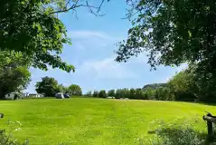 Non electric grass tent pitches