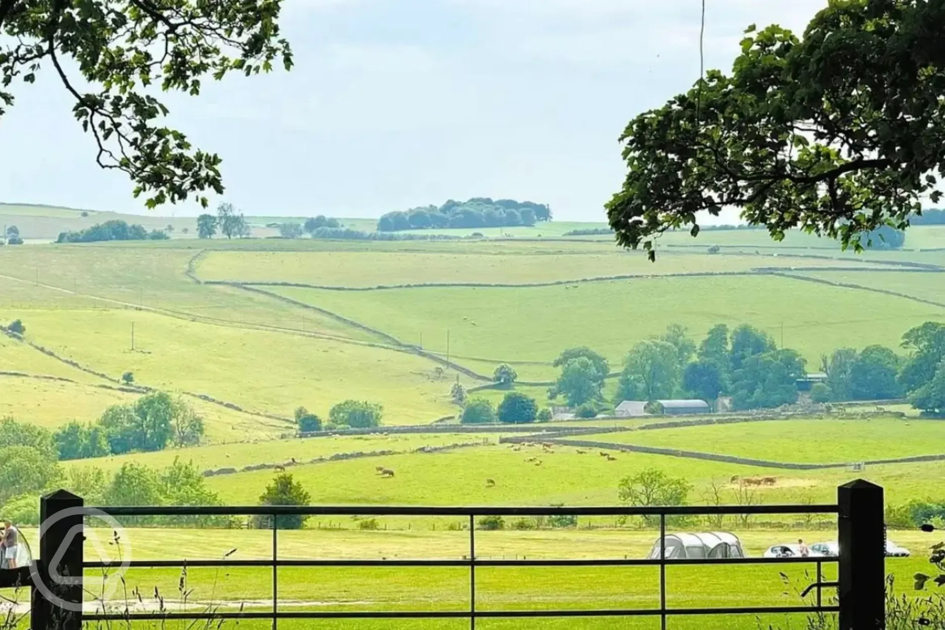 Non electric grass tent pitches