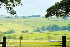 Non electric grass tent pitches