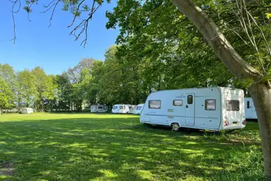 Haddon Grove Farm Campsite