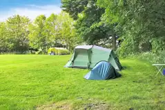 A medium and small tent on an electric grass tent pitch