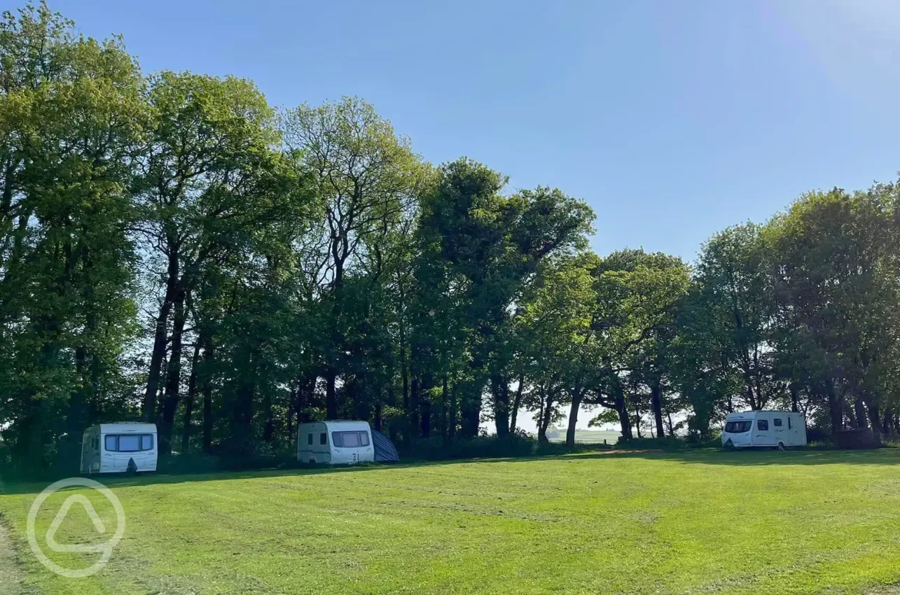 Non electric grass touring pitches infront of tall trees