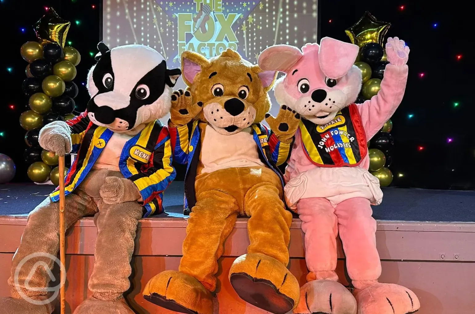 Foxy gang entertainment team