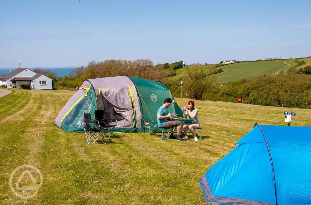 Electric grass tent pitches Electric grass tent pitches