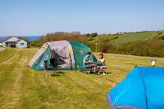 Electric grass tent pitches