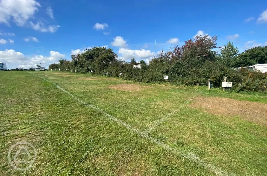 Electric grass pitches with 10 amp hook ups 