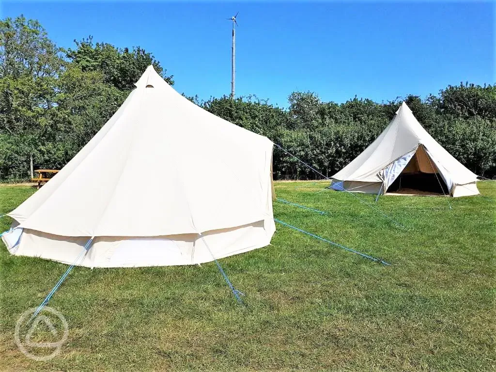 Bell tents at Herston Yards Farm