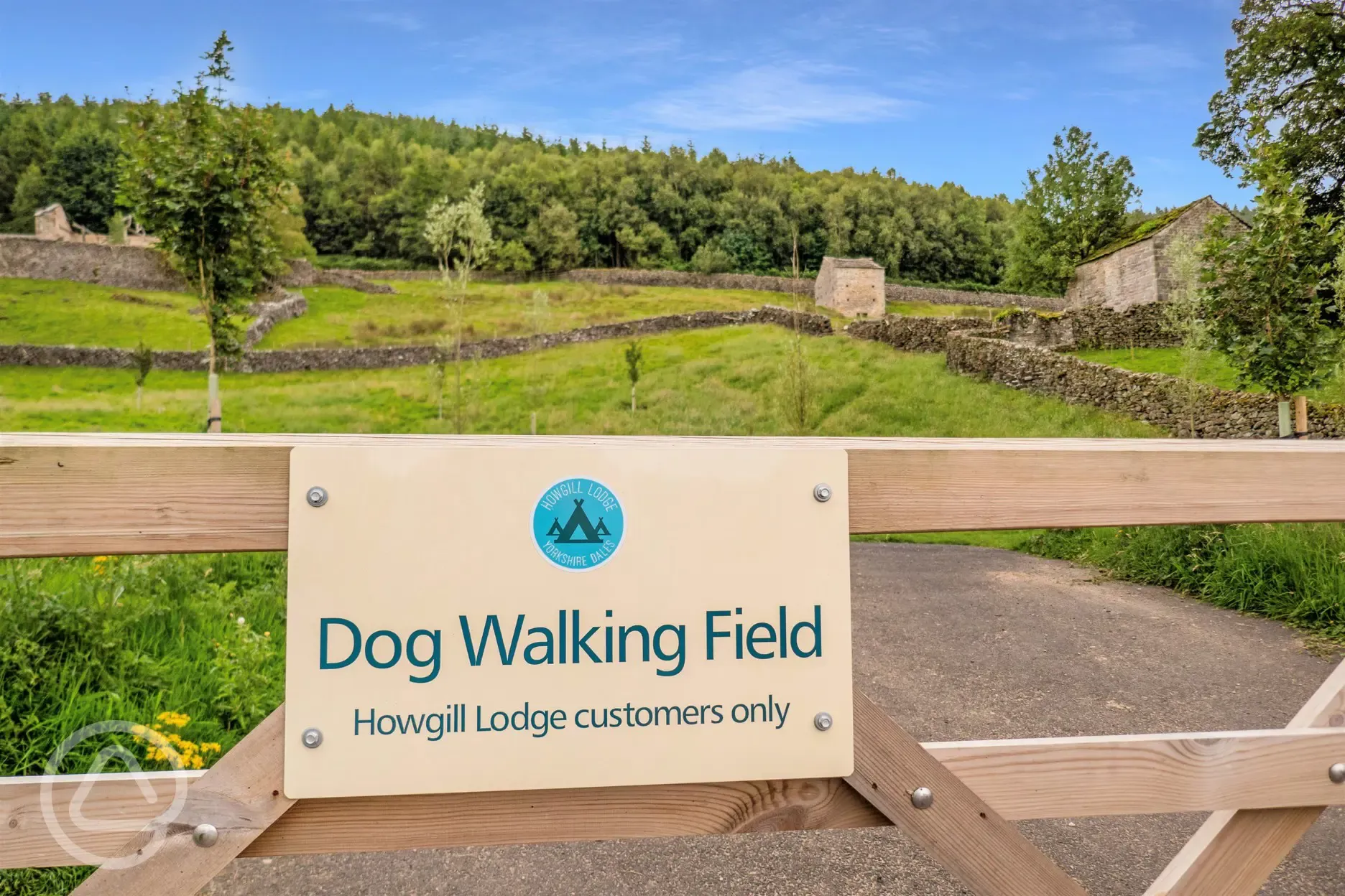 Dog walking field