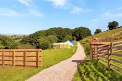 Electric grass pitches