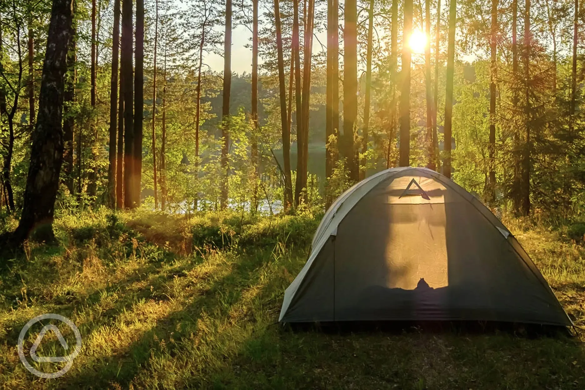 Riverside non electric wild pitch surrounded by trees at Red Squirrel Campsite