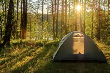 Riverside non electric wild pitch surrounded by trees at Red Squirrel Campsite