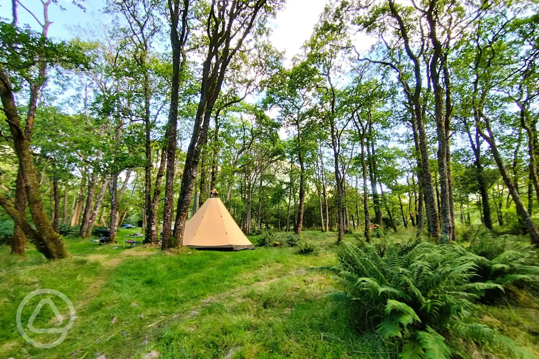 Secluded non electric wild pitches surrounded by trees