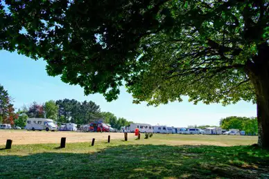 Holmsley Campsite